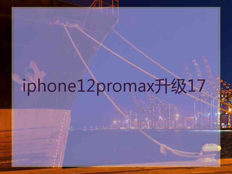 iphone12promax升级17