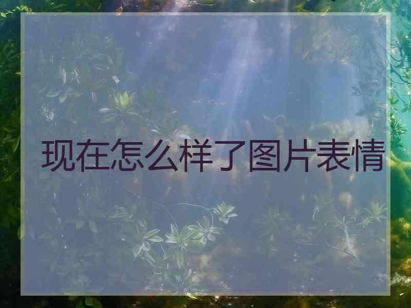 现在怎么样了图片表情