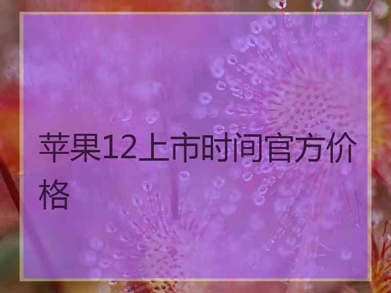 苹果12上市时间官方价格