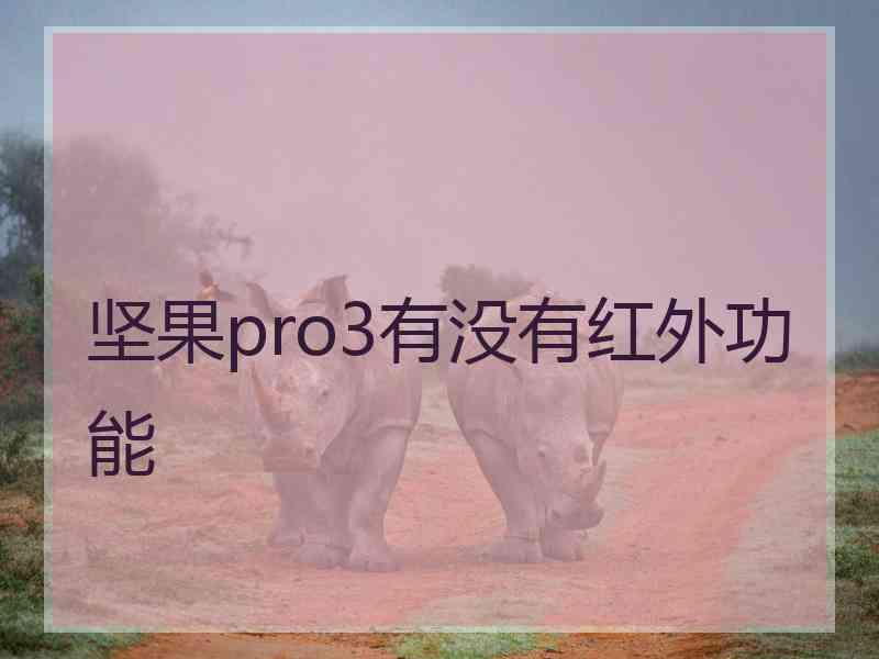 坚果pro3有没有红外功能