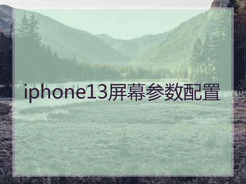 iphone13屏幕参数配置