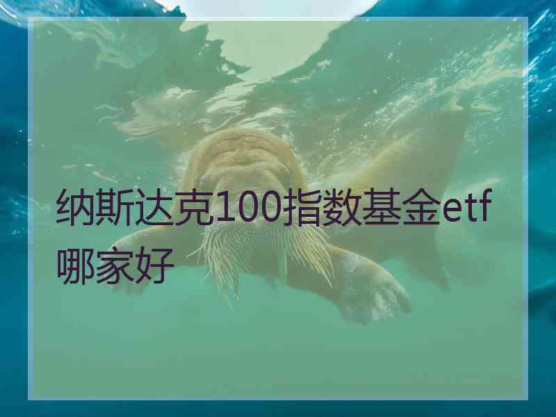 纳斯达克100指数基金etf哪家好