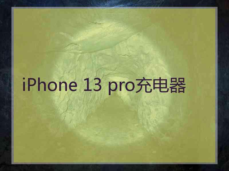 iPhone 13 pro充电器