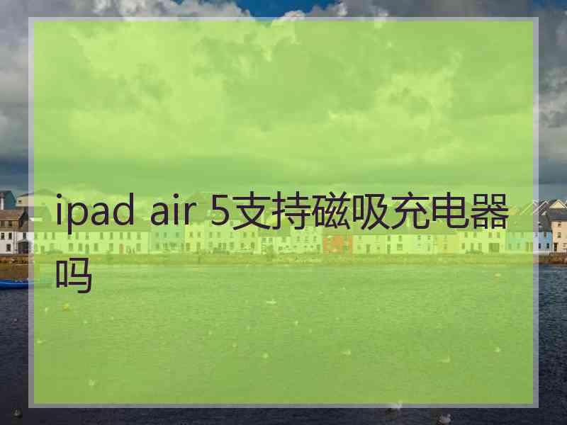 ipad air 5支持磁吸充电器吗