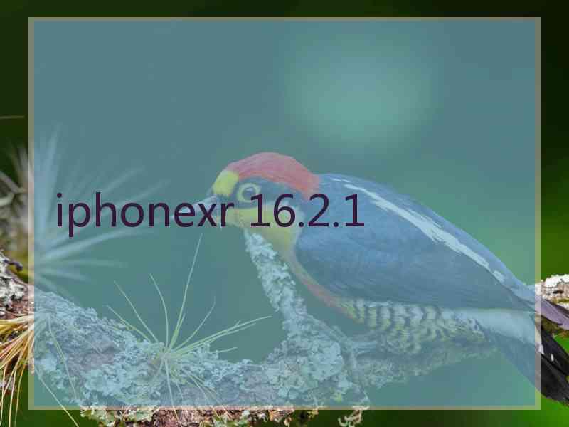 iphonexr 16.2.1