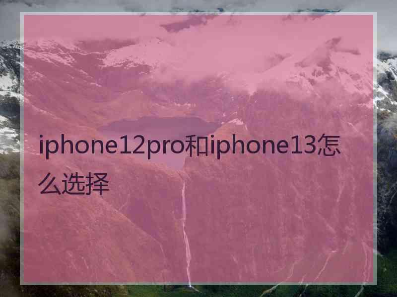 iphone12pro和iphone13怎么选择