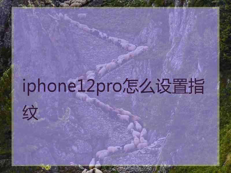 iphone12pro怎么设置指纹