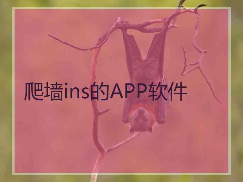 爬墙ins的APP软件