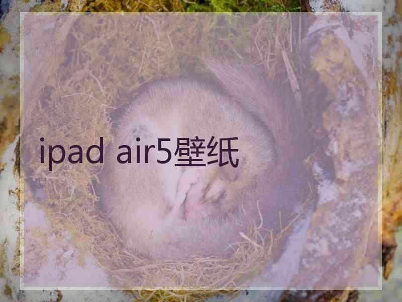 ipad air5壁纸