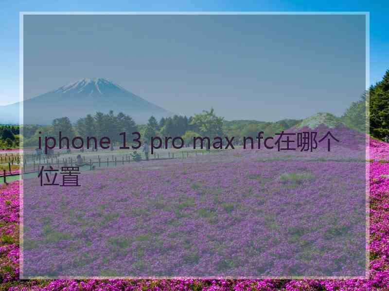 iphone 13 pro max nfc在哪个位置