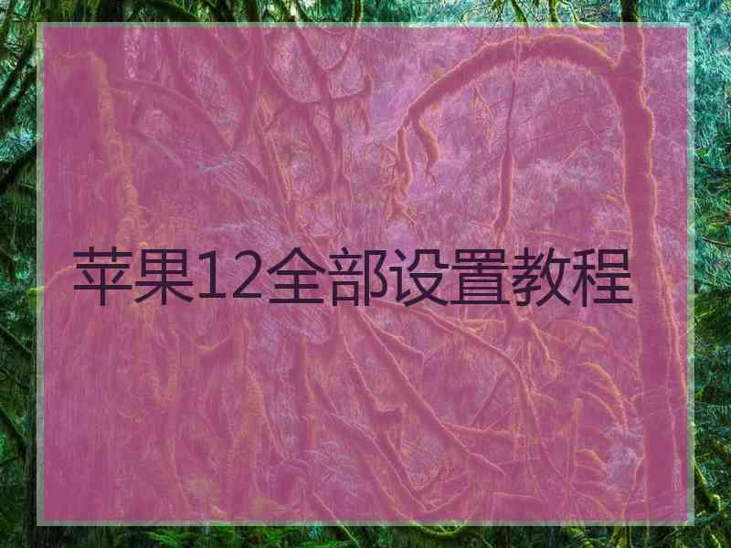 苹果12全部设置教程