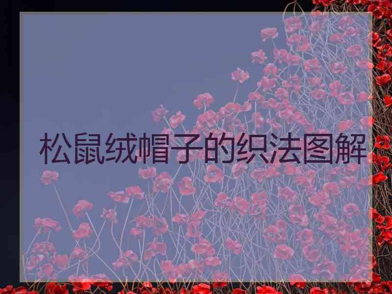 松鼠绒帽子的织法图解