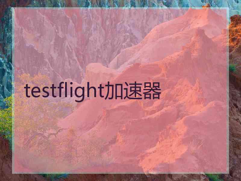 testflight加速器