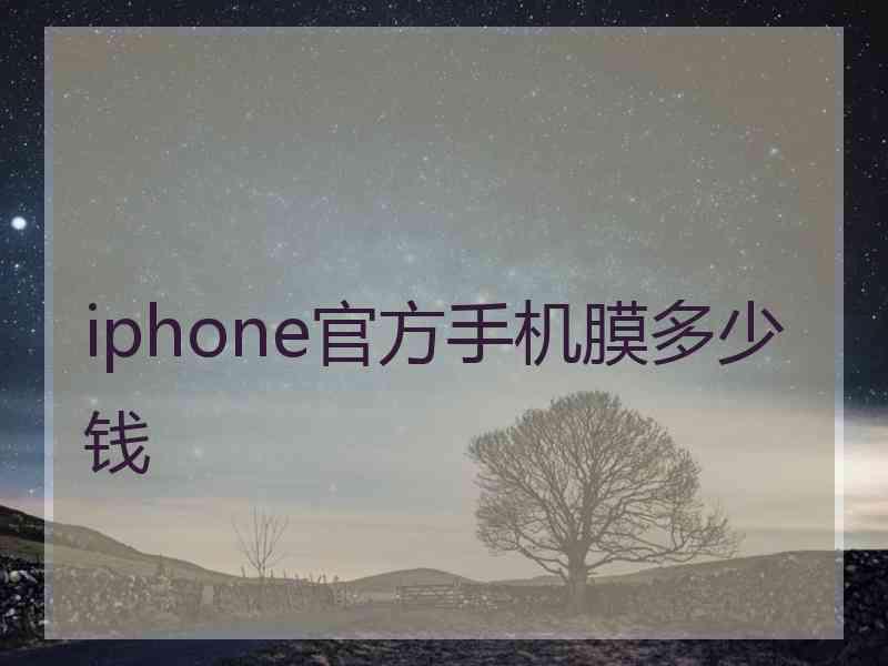 iphone官方手机膜多少钱