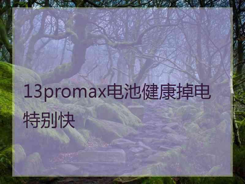 13promax电池健康掉电特别快