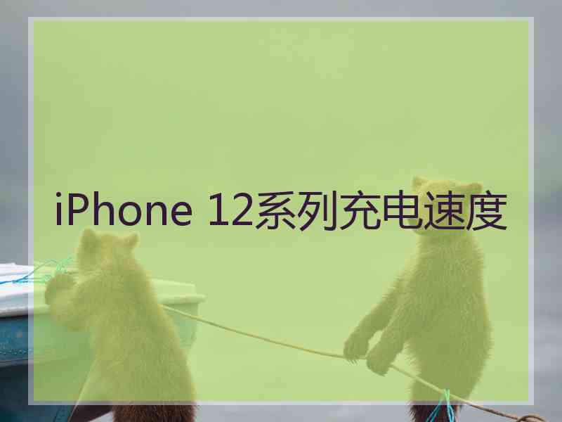 iPhone 12系列充电速度