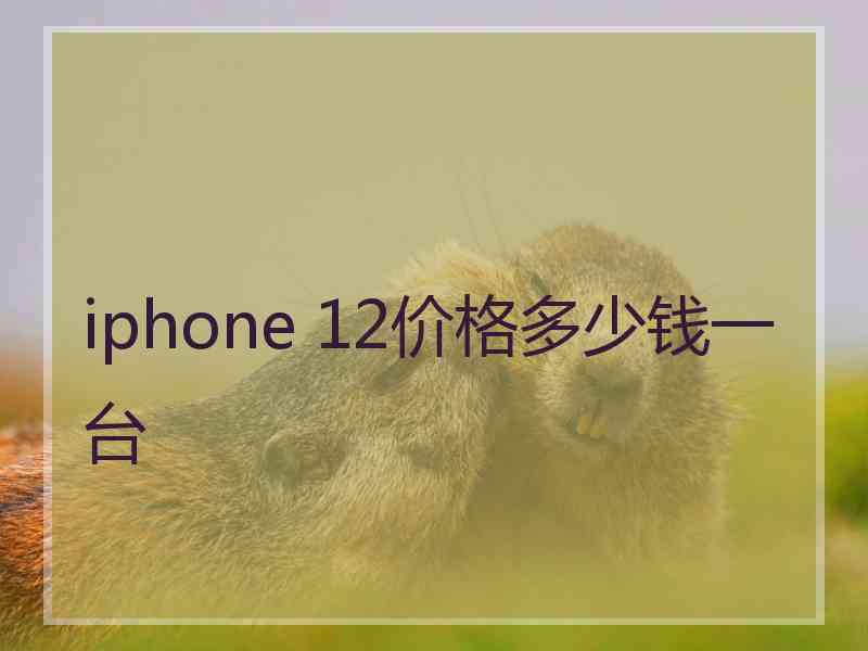 iphone 12价格多少钱一台