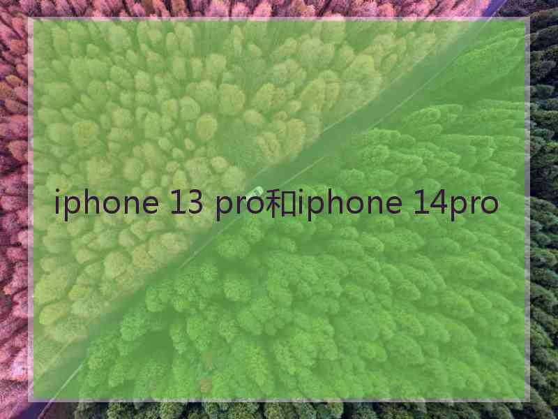 iphone 13 pro和iphone 14pro