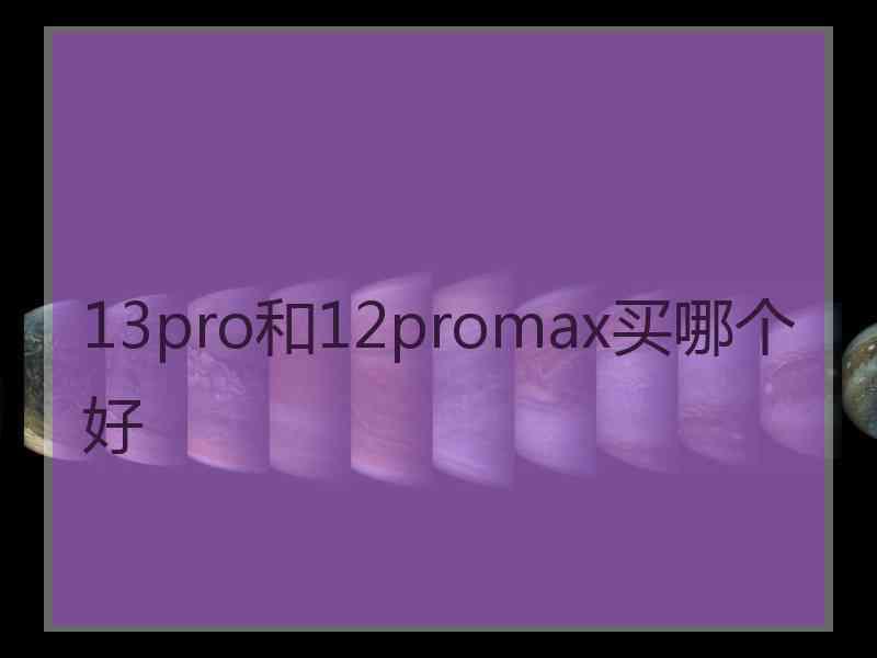 13pro和12promax买哪个好