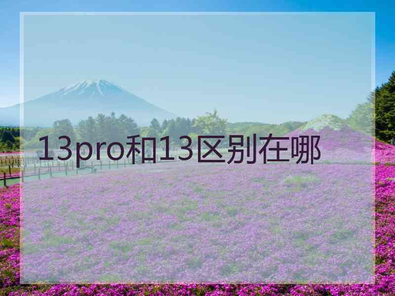 13pro和13区别在哪