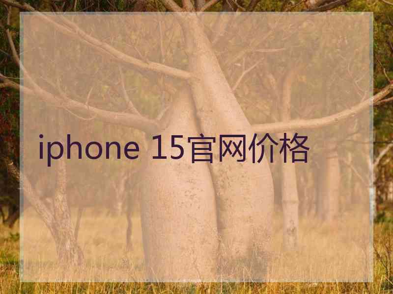 iphone 15官网价格