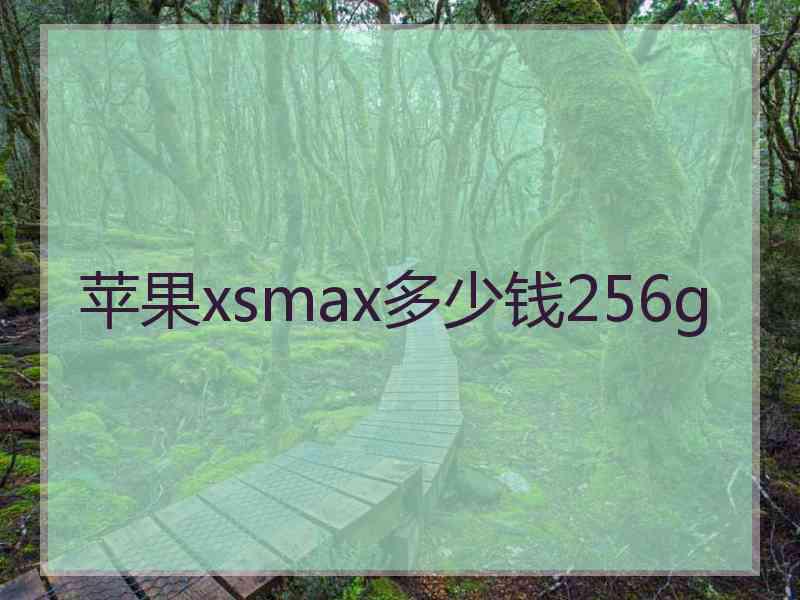 苹果xsmax多少钱256g