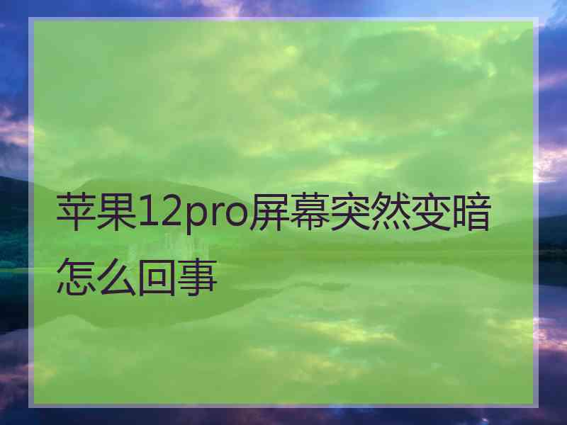 苹果12pro屏幕突然变暗怎么回事