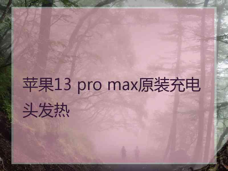 苹果13 pro max原装充电头发热