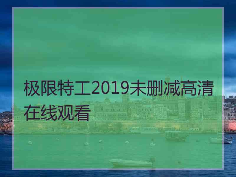 极限特工2019未删减高清在线观看