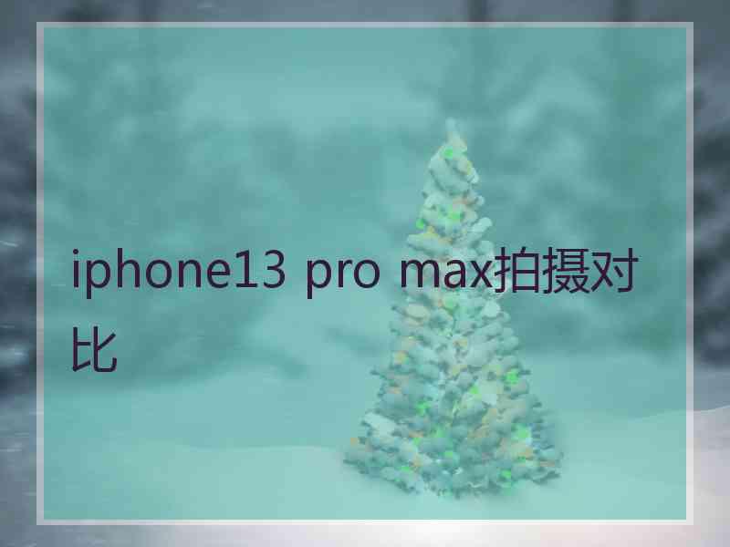 iphone13 pro max拍摄对比