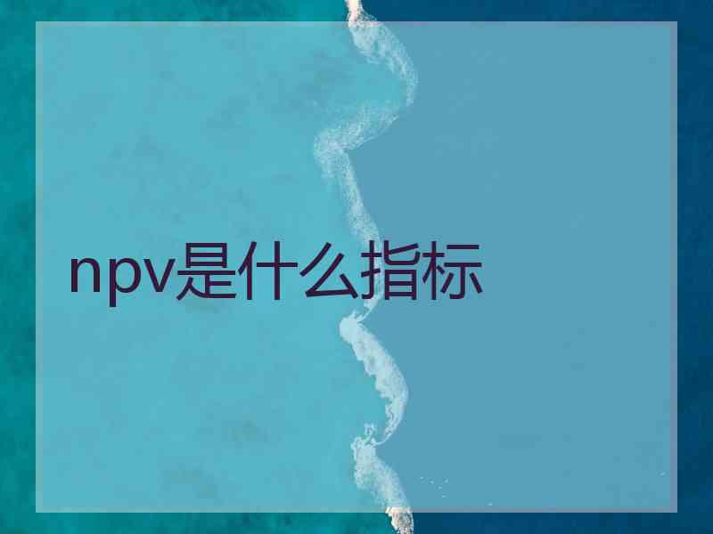 npv是什么指标