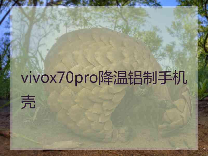 vivox70pro降温铝制手机壳