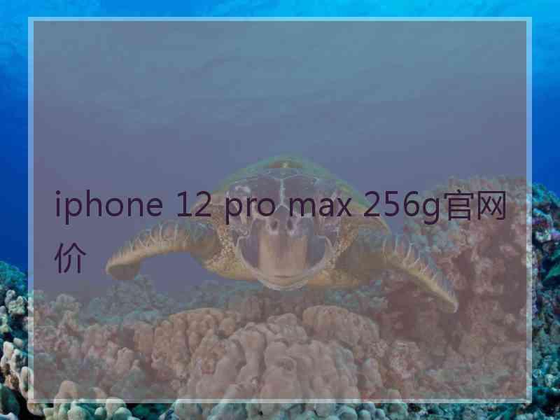 iphone 12 pro max 256g官网价