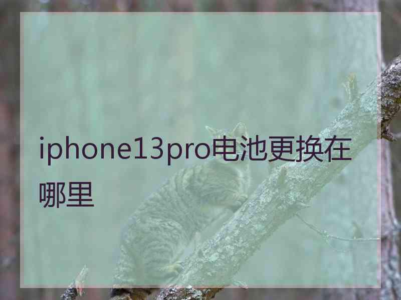 iphone13pro电池更换在哪里