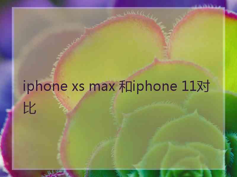 iphone xs max 和iphone 11对比