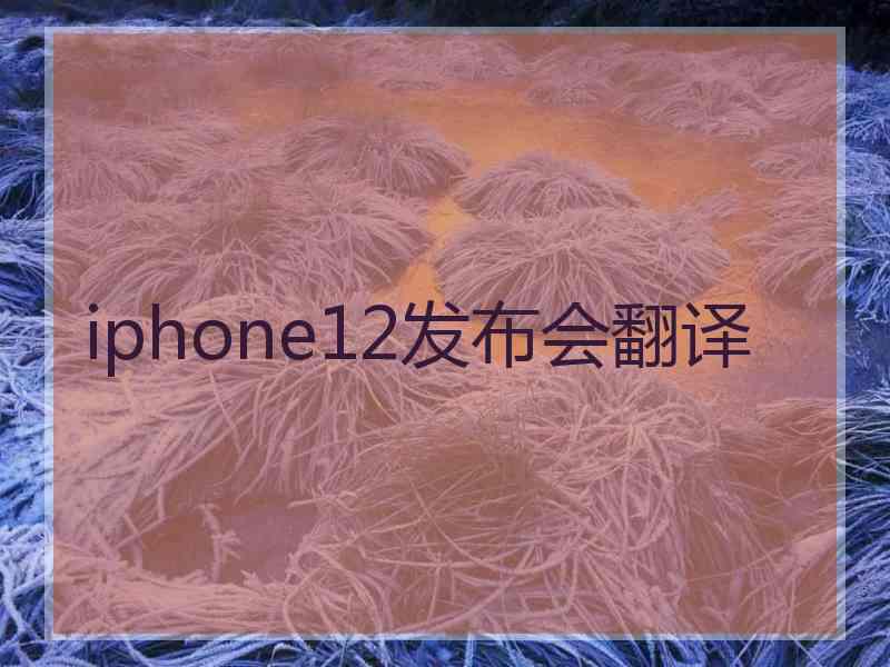 iphone12发布会翻译