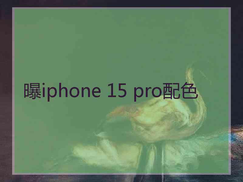 曝iphone 15 pro配色