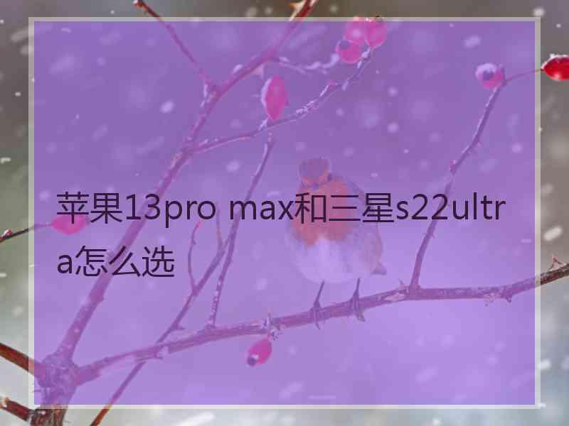 苹果13pro max和三星s22ultra怎么选