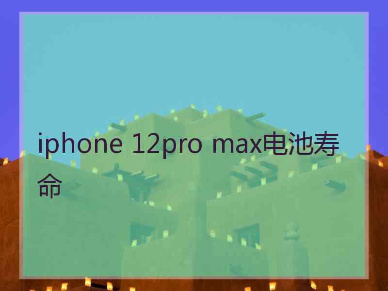 iphone 12pro max电池寿命