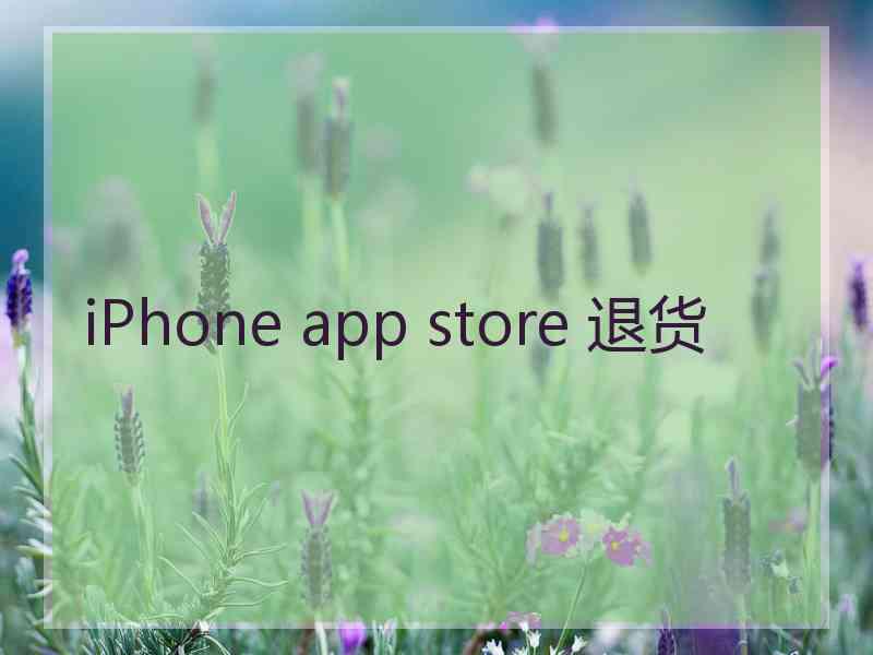 iPhone app store 退货