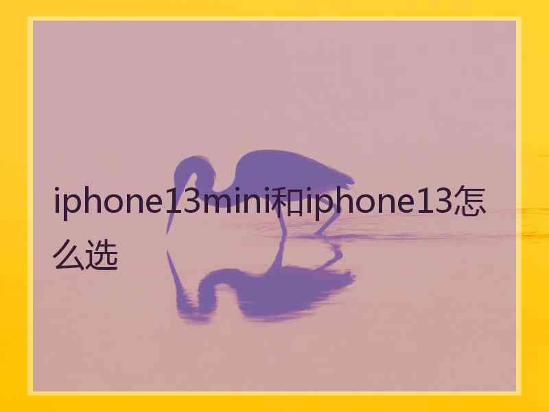 iphone13mini和iphone13怎么选