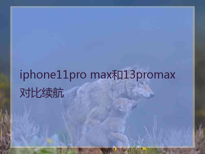 iphone11pro max和13promax对比续航