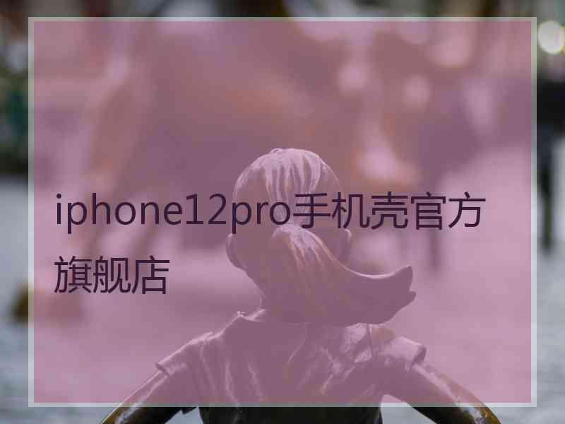 iphone12pro手机壳官方旗舰店