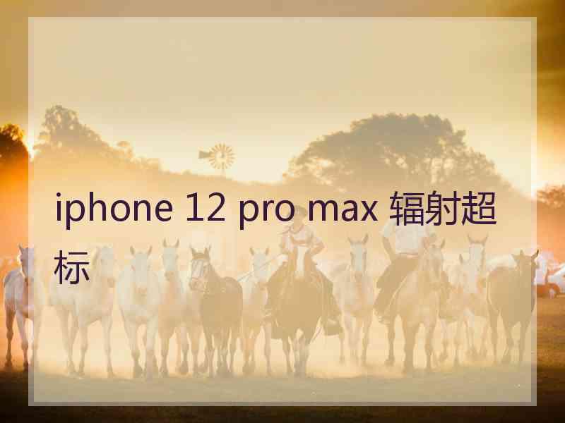 iphone 12 pro max 辐射超标