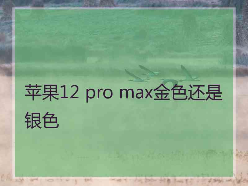 苹果12 pro max金色还是银色