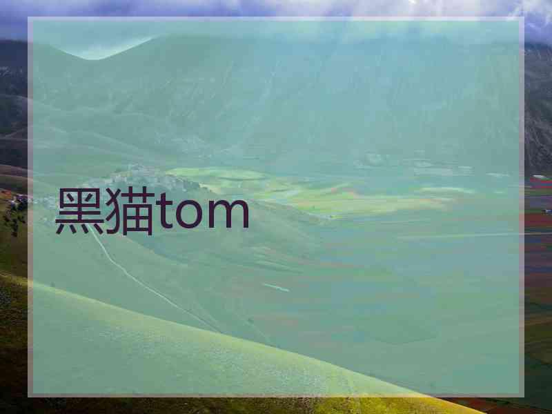 黑猫tom