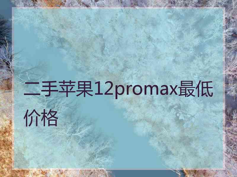 二手苹果12promax最低价格