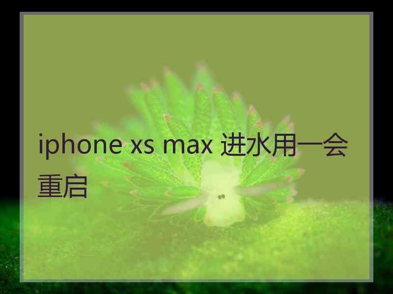 iphone xs max 进水用一会重启