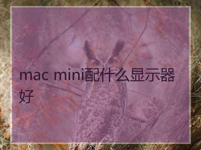 mac mini配什么显示器好