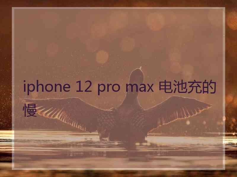 iphone 12 pro max 电池充的慢